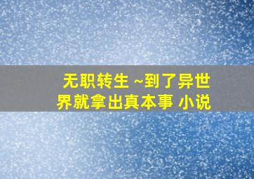 无职转生 ~到了异世界就拿出真本事 小说